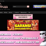 Screenshoot Bokepinaja.site